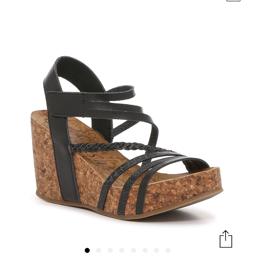 Blowfish wedges
